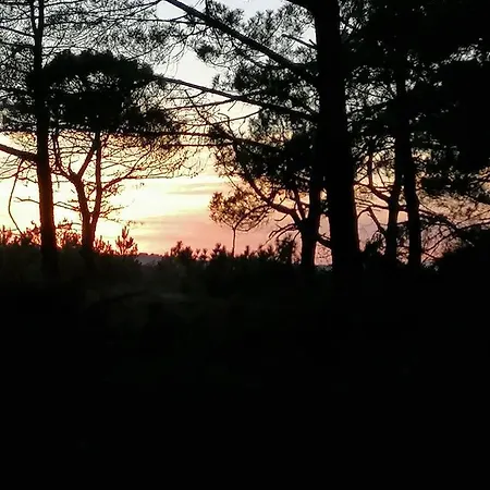 Villa * Biscarrosse